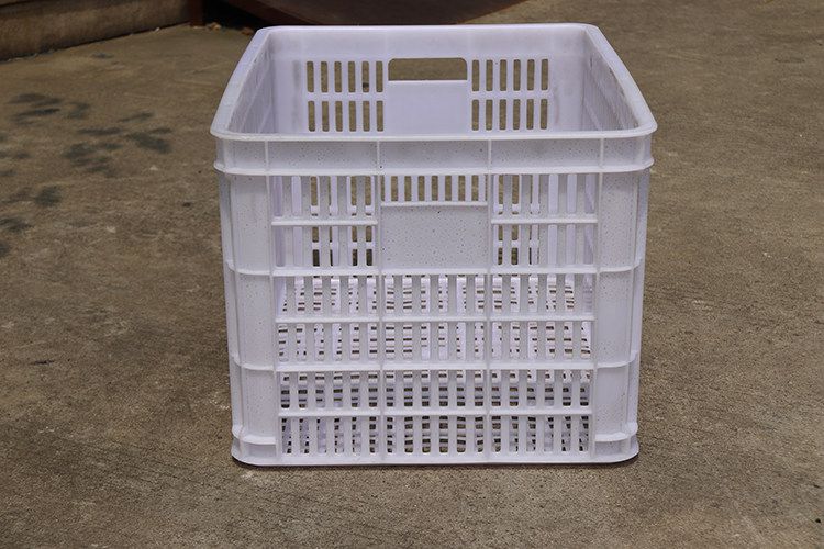 620（白色）（1.9kg）